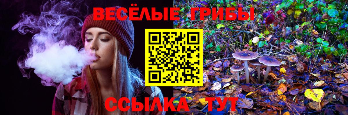 Северск  Псилоцибиновые грибы MAGIC MUSHROOMS  Вход с VPN 